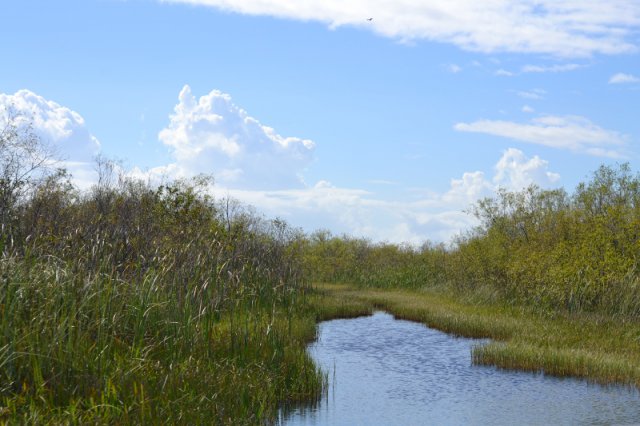 Bootstour durch die Everglades