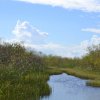 Bootstour durch die Everglades